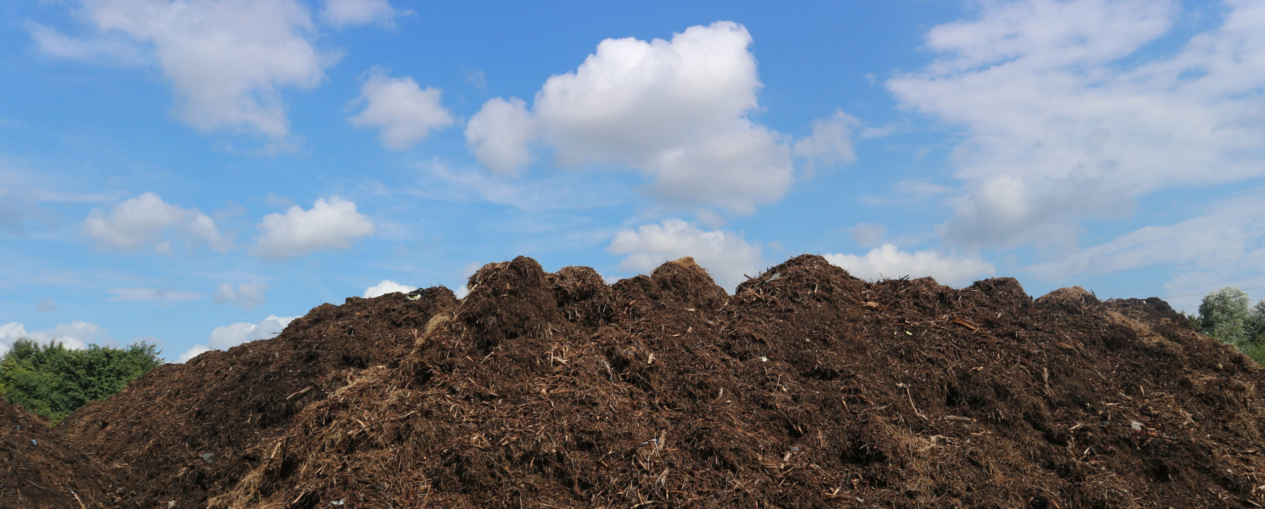 101 – Food Lifecycle Solutions
