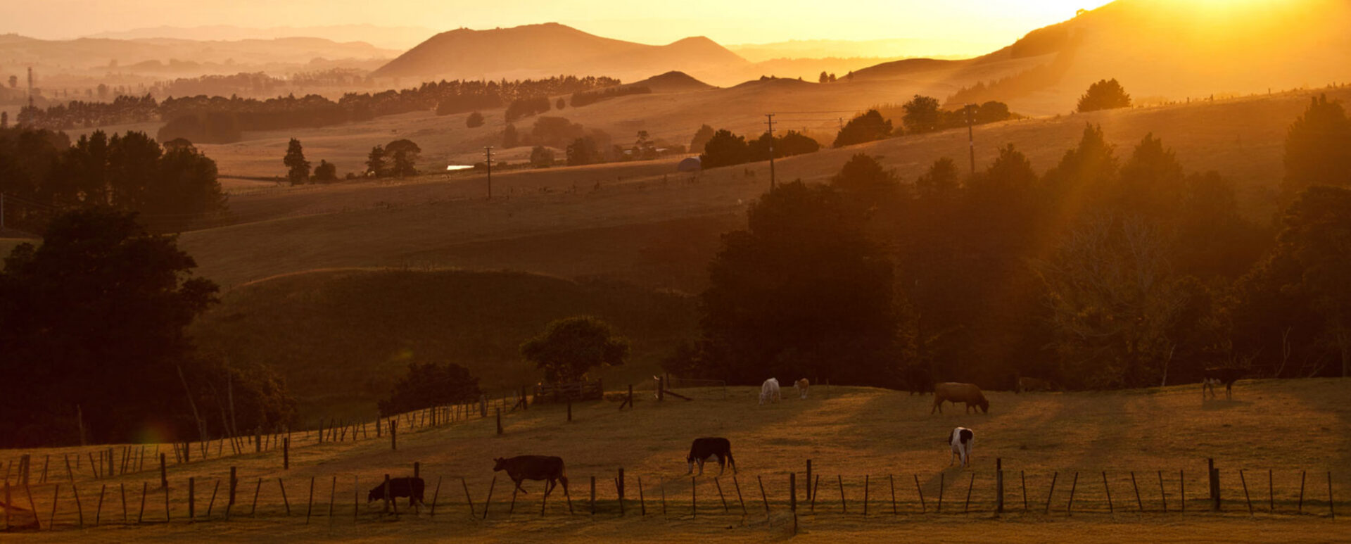 Colorado Boxed Beef Company