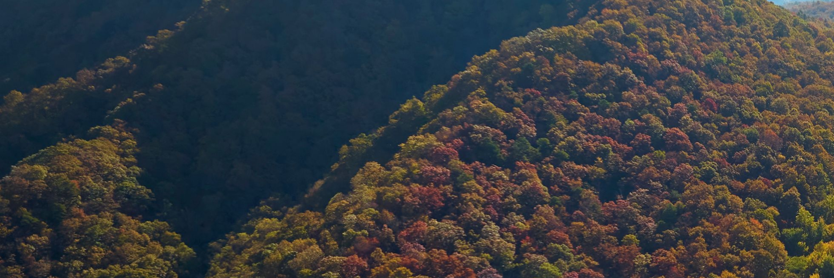 Forested mountain landscape with autumn colors